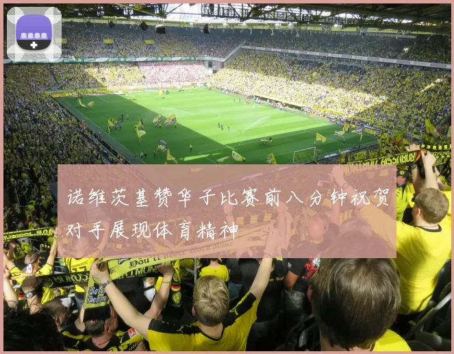 诺维茨基赞华子比赛前八分钟祝贺对手展现体育精神